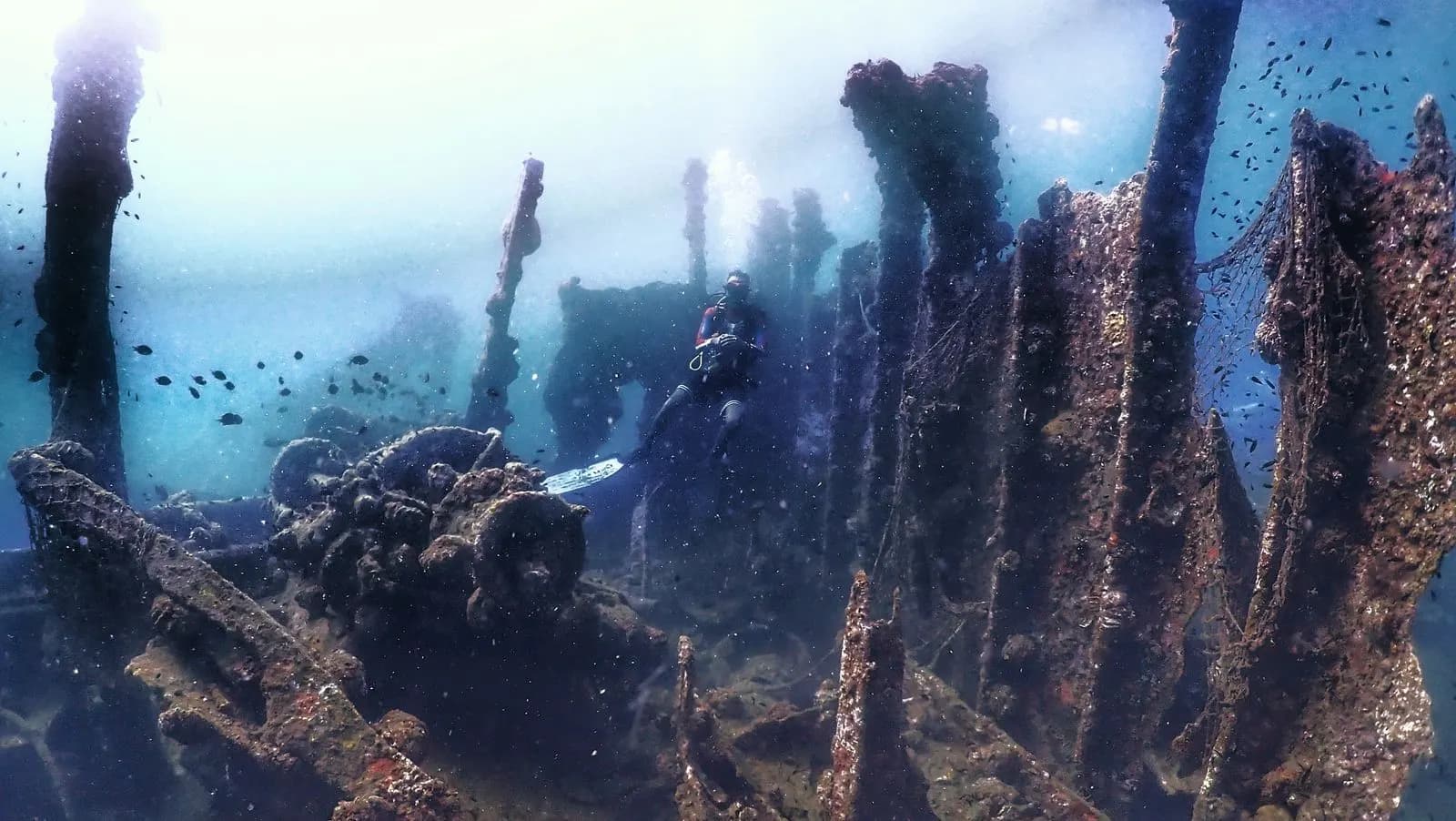 Diver swimming through wreck structure with schooling fish in Havelock waters