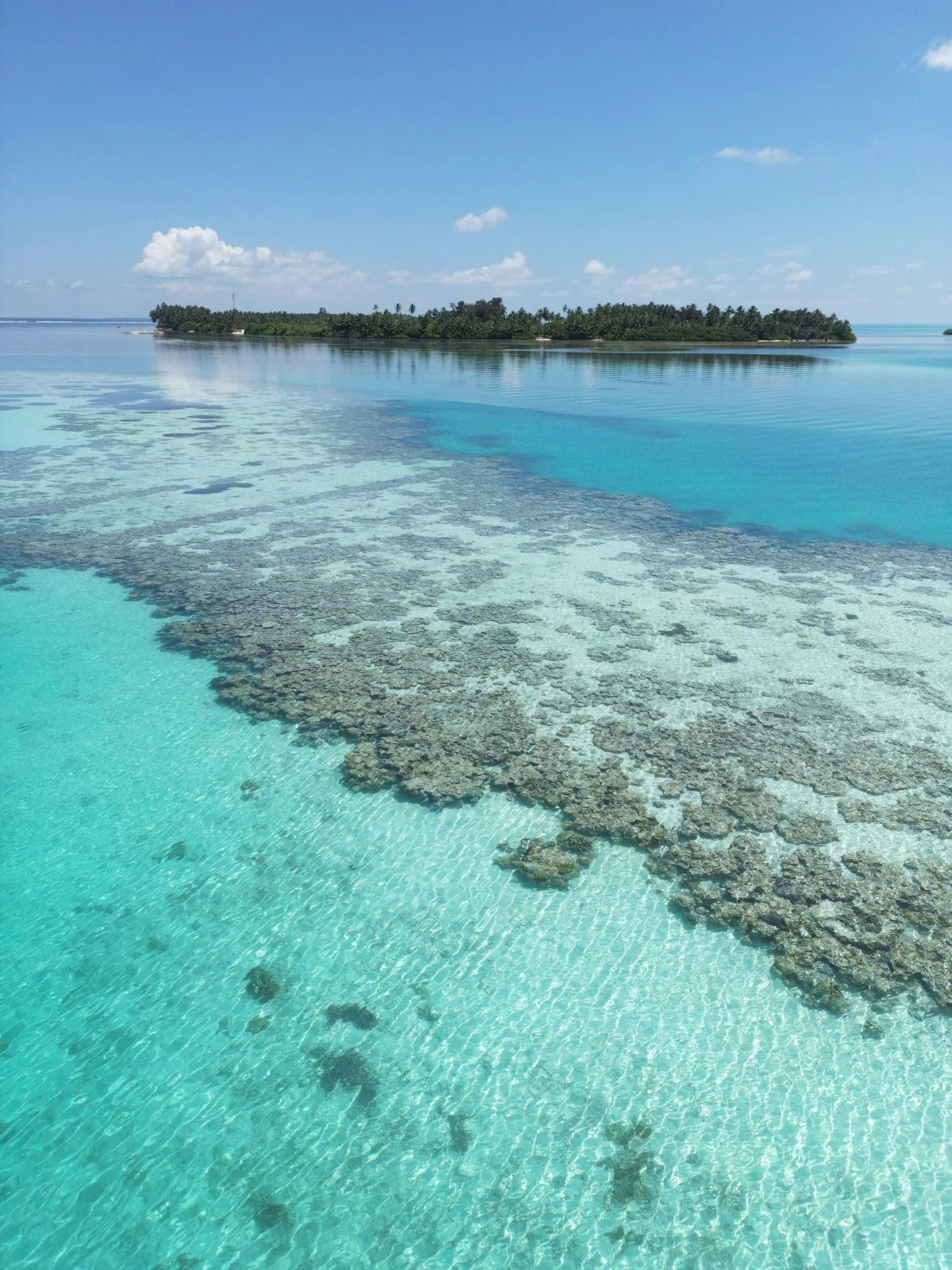 Neil Island (Shaheed Dweep) coastline in the Andamans