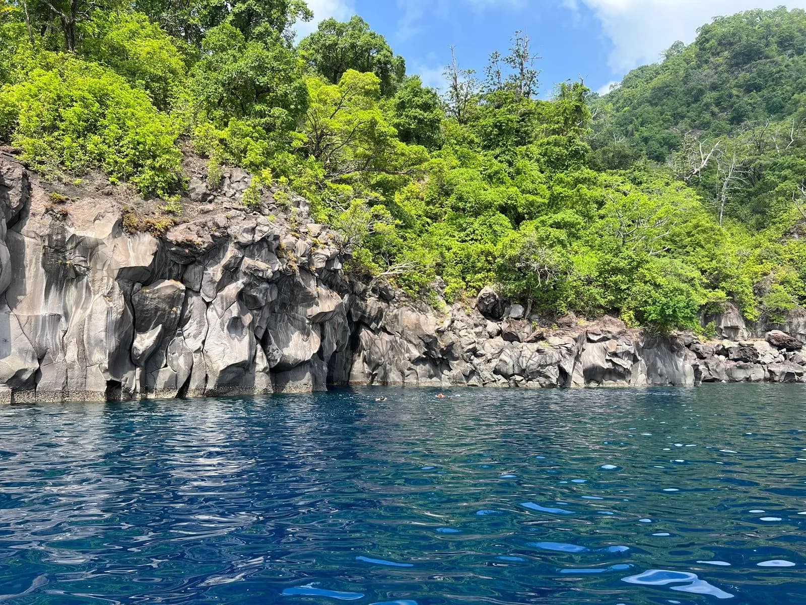 Couple diving together in clear Havelock water