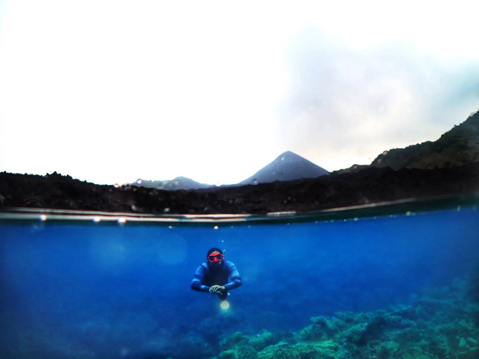 Fun dive on a nearby Havelock reef