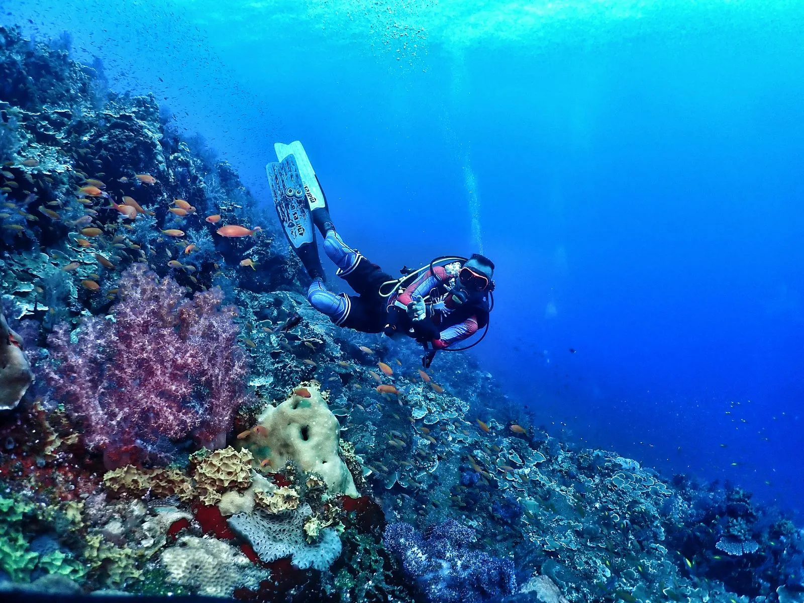 SSI Advanced Open Water Gold — shore and boat specialty dives