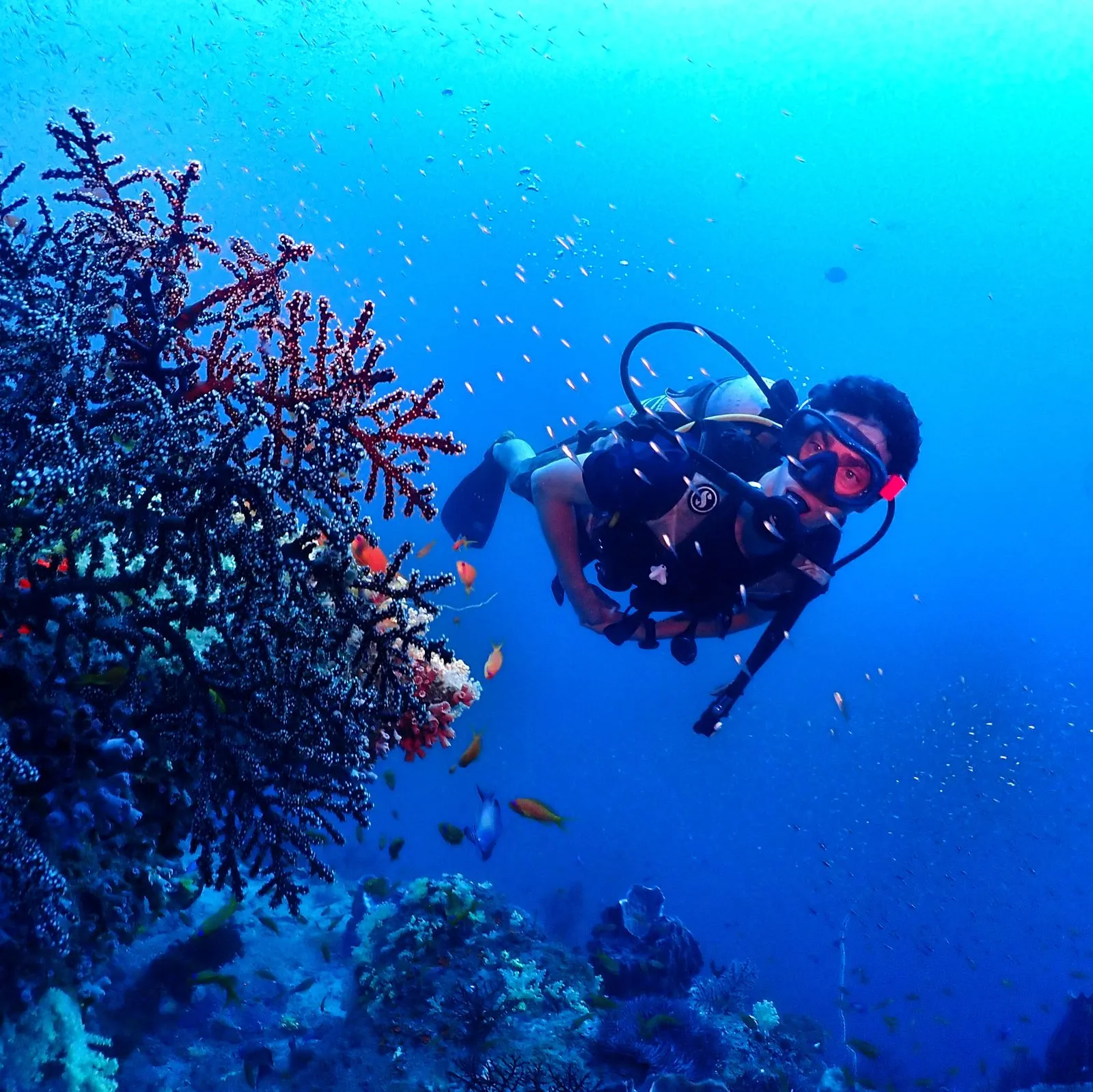 Continental Scuba dive team in Havelock, Andaman Islands