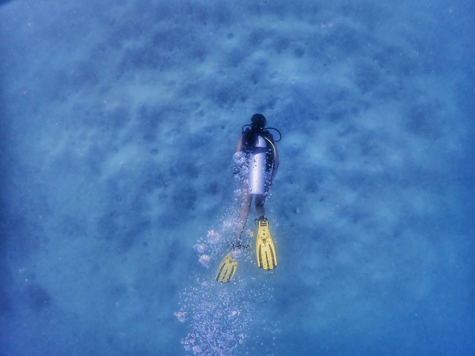 SSI Introductory Dive from boat — Continental Scuba, Havelock