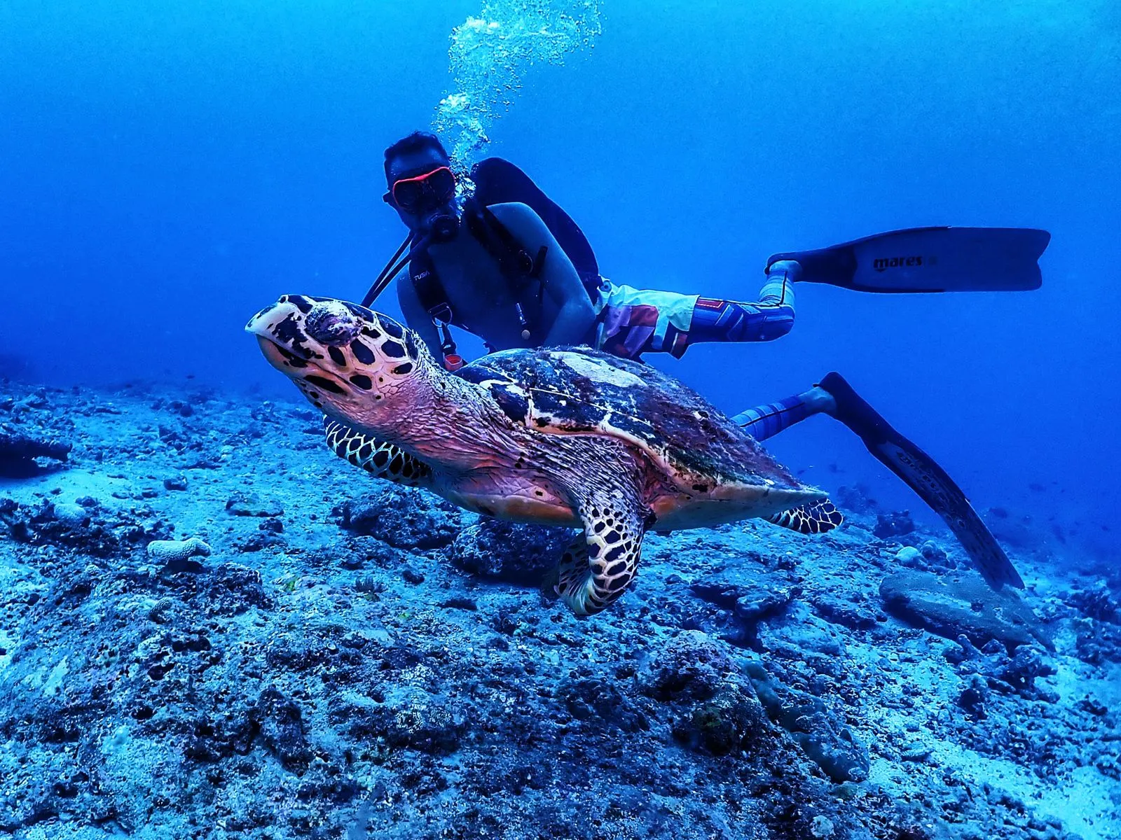 SSI Basic Diver shore certification dive in Havelock