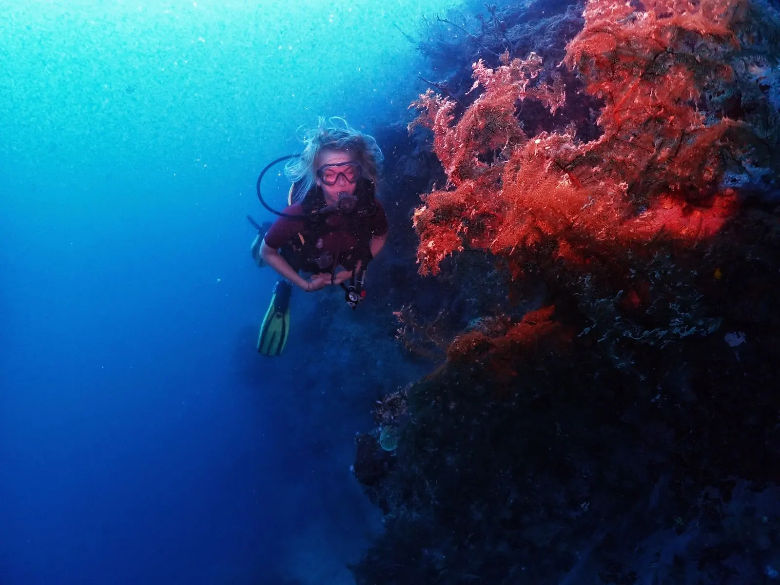 SSI Basic Diver boat dive with Continental Scuba